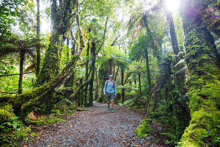 Hiking and tramping in New Zealand. Travel and adventure concept
