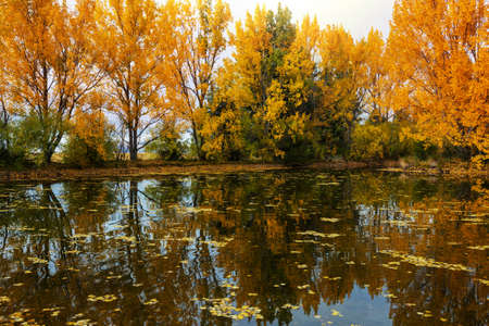The beautiful lake in Autumn seasonの写真素材