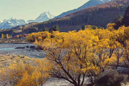Autumn season in New Zealand mountains