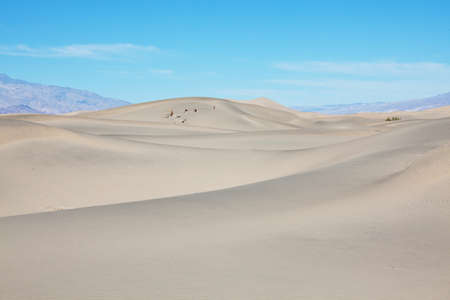 Unspoiled sand dunes in the remote desertの写真素材