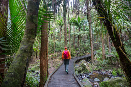Hiking and tramping in New Zealand. Travel and adventure concept