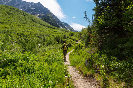 Backpacker in the summer mountains