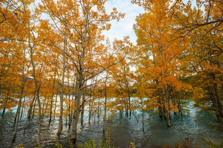 The beautiful lake in Autumn season