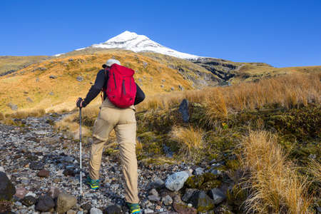 Mount Taranaki / Mount Egmont in Egmont National Park, North Island, New Zealand. Beautiful natural...