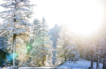 Winter season in Yosemite National Park, California, USA