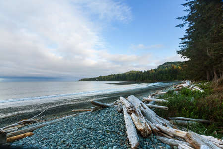 Pacific ocean coast in British Columbia, Canada. Wanderlust travel concept.