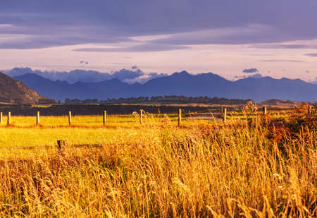 Beautiful rural  landscape of the New Zealand at sunrise