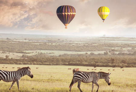 Tourist attraction on african safari in Namibia -balloons over savannahの写真素材