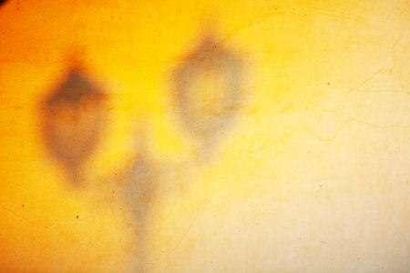 Light shadow on yellow wallの写真素材