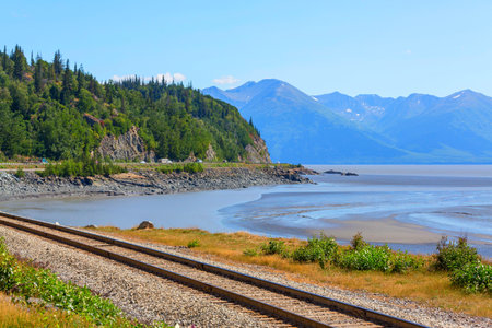 Unusual summer Landscapes of Alaska, United States.の写真素材