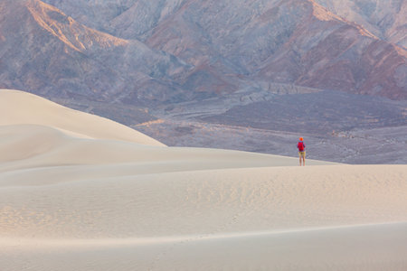 Hiker among sand dunes in the desertの写真素材
