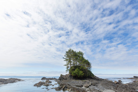 Ocean beach in  Vancouver island, British Columbia, Canada