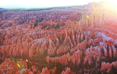Picturesque colorful pink rocks of the Bryce Canyon National park in Utah, USAの写真素材