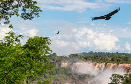 Impessive Iguassu (Iguazu) Falls on the Argentina - Brazil border, Instagram filter. Powerful waterfalls in the jungles.の写真素材