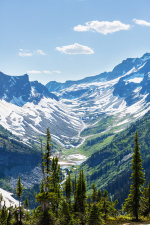 Picturesque mountain view in the Canadian Rockies in summer seasonの写真素材