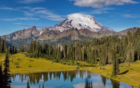 Mount Rainier national park, Washingtonの写真素材