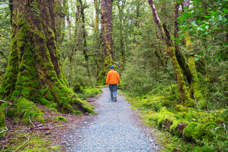 Hiking and tramping in New Zealand. Travel and adventure conceptの写真素材