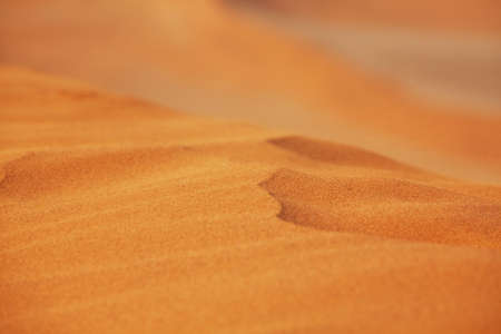 Unspoiled sand dunes in the remote desertの写真素材