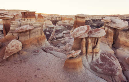 Unusual desert landscapes in Bisti badlands, De-na-zin wilderness area, New Mexico, USA