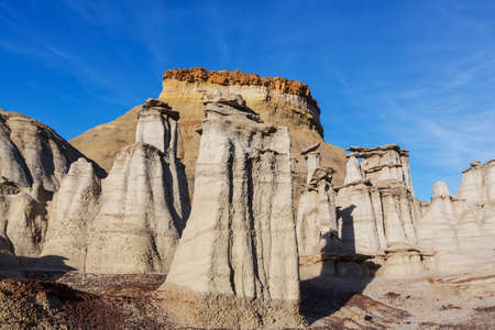 Unusual desert landscapes in Bisti badlands, De-na-zin wilderness area, New Mexico, USA