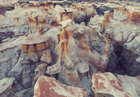 Unusual desert landscapes in Bisti badlands, De-na-zin wilderness area, New Mexico, USA
