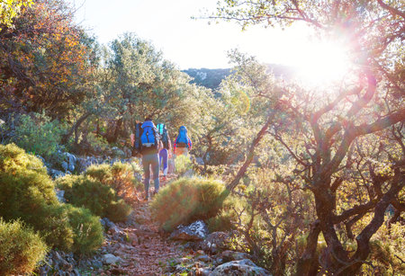 Group of backpackers hiking in mountains outdoor active lifestyle travel adventure vacations journey  freedom Summer landscape Hike conceptの写真素材