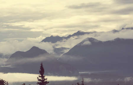 Fog in the high mountains. Beautiful natural landscapes.の写真素材