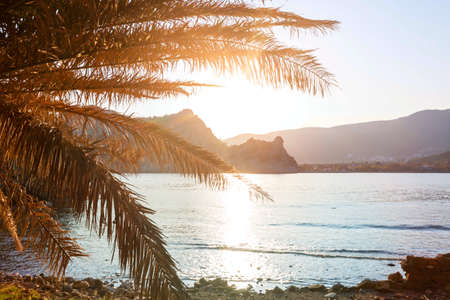 Beautiful summer landscapes  on the tropical beachの写真素材