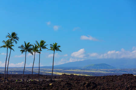 Volcanic landscapes on Big island, Hawaiiの写真素材