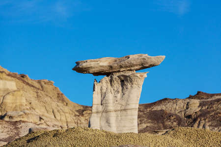 Unusual desert landscapes in Bisti badlands, De-na-zin wilderness area, New Mexico, USA