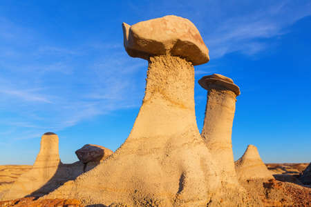 Unusual desert landscapes in Bisti badlands, De-na-zin wilderness area, New Mexico, USA