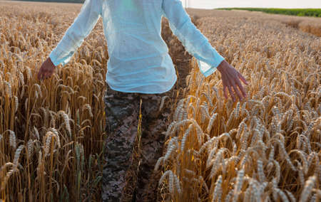 a girl walks through a field of wheatの写真素材