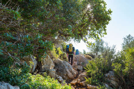 Backpackers  in the summer mountains