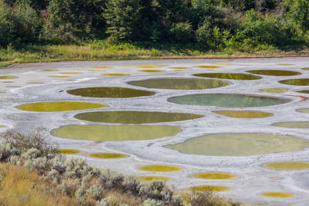 Spotted Lake in British Columbia, Canada
