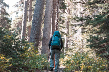Man hiking bay the trail in the forest.Nature leisure hike travel outdoorの写真素材