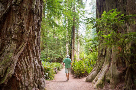 Man hiking bay the trail in the forest.Nature leisure hike travel outdoorの写真素材