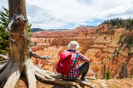 Picturesque colorful pink rocks of the Bryce Canyon National park in Utah, USAの写真素材