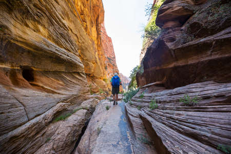 Man in hike in the slot canyon