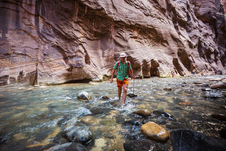 Hike in Zion National Park. Man walk on the trail  in Zion National park,Utah. Back turned no face visible.の写真素材
