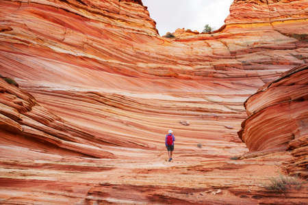 Coyote Buttes of the Vermillion Cliffs Wilderness Area, Utah and Arizonaの写真素材