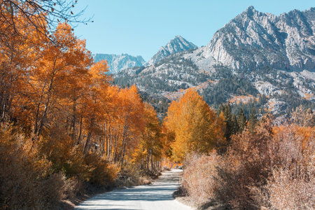 Scenic view of Sierra Nevada Mountain. fall foliage landscape. California,USA.の写真素材