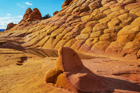 Coyote Buttes of the Vermillion Cliffs Wilderness Area, Utah and Arizona