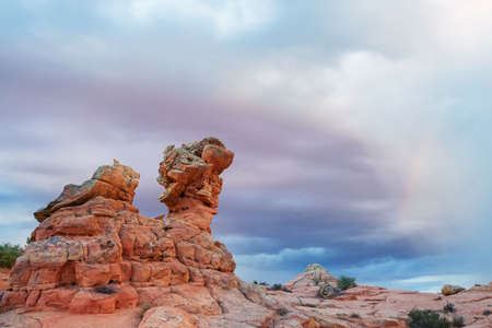 Coyote Buttes of the Vermillion Cliffs Wilderness Area, Utah and Arizonaの写真素材