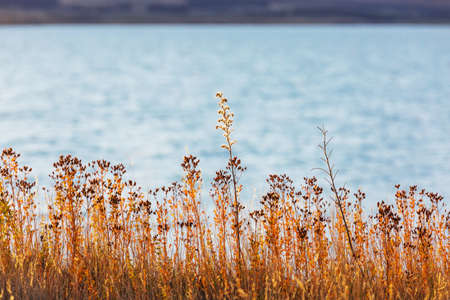 Colorful  autumn meadow in mountains. Natural background.の写真素材