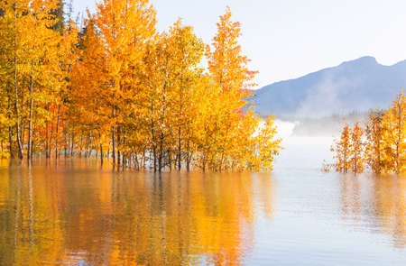 The beautiful lake in Autumn seasonの写真素材