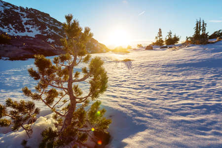 Snow covered mountains in winter season