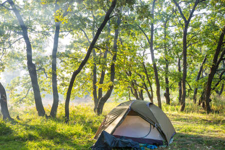 Modern tourist tent hanging between trees in green forestの写真素材