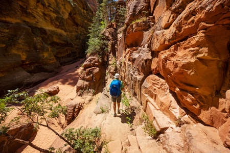 Man in hike in the slot canyon in summer mountains. Utah, USAの写真素材