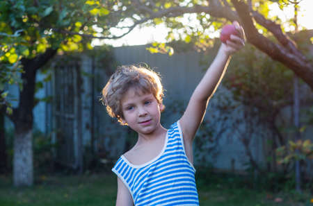 the little boy is harvesting the fall harvest in the garden