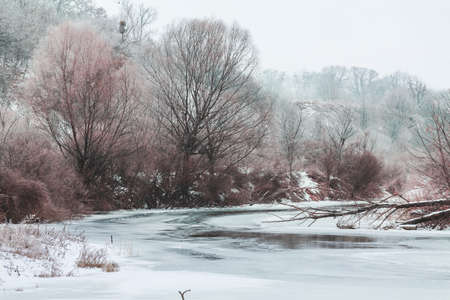 Winter scene. Trees in hoarfrost grow along the frozen riverの写真素材
